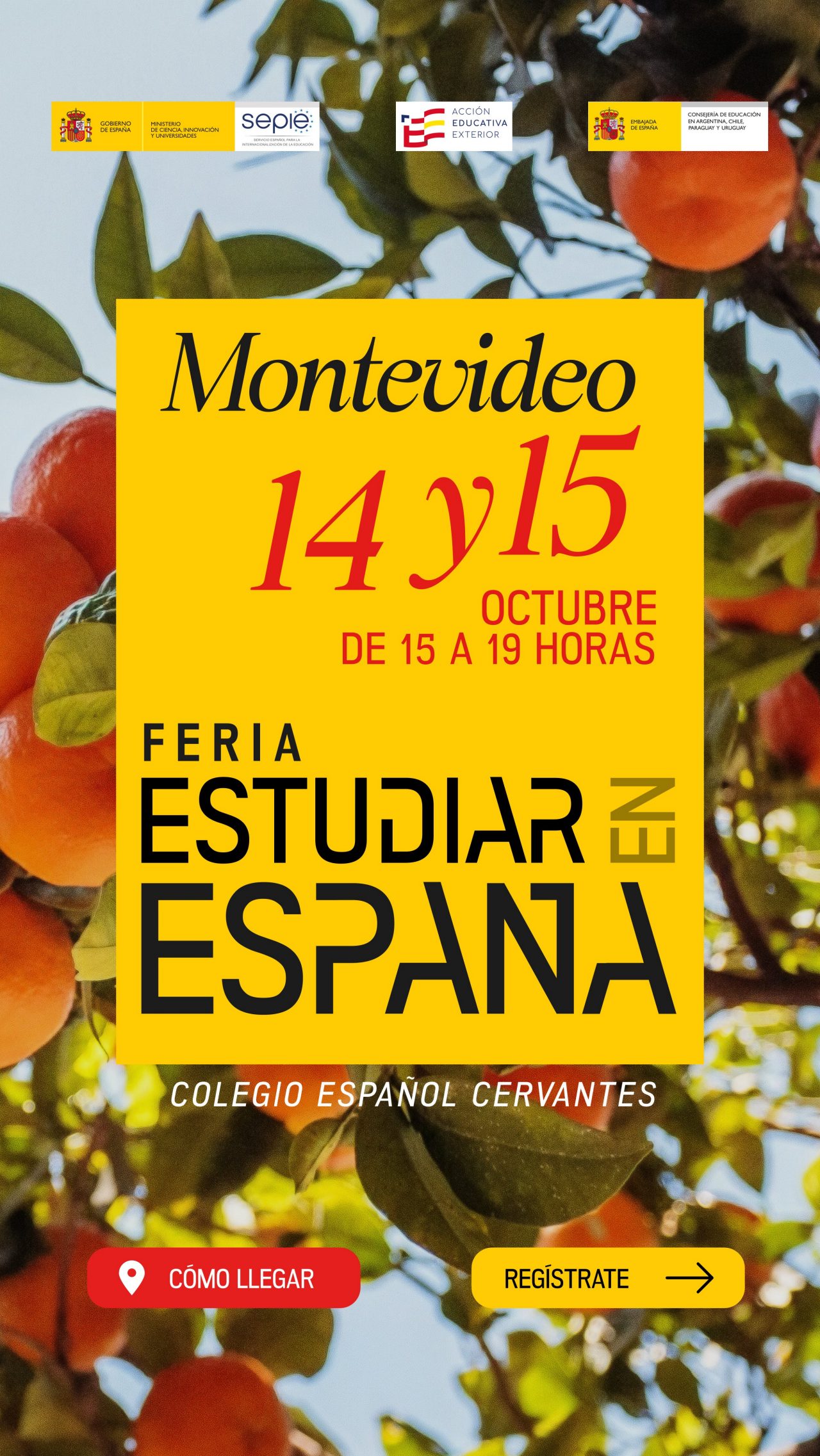 Info feria